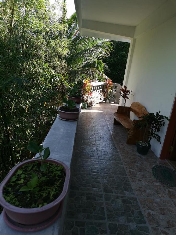 בסקו Anvel Homestay מראה חיצוני תמונה